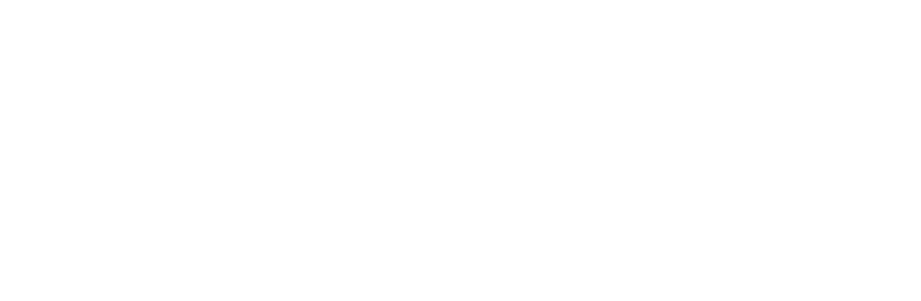 Kronos Business Intelligence